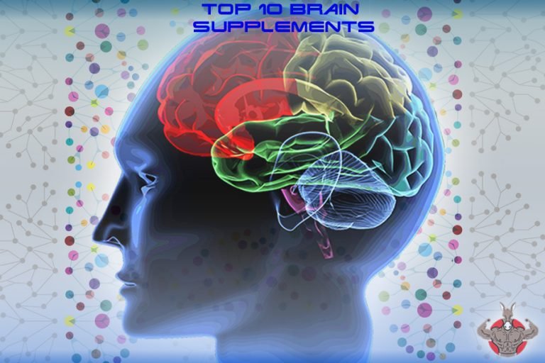 Best Nootropics 2026: Top 10 Brain supplements for Memory, Focus and ...