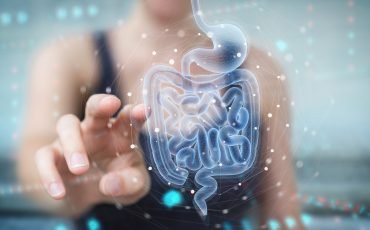 gut health