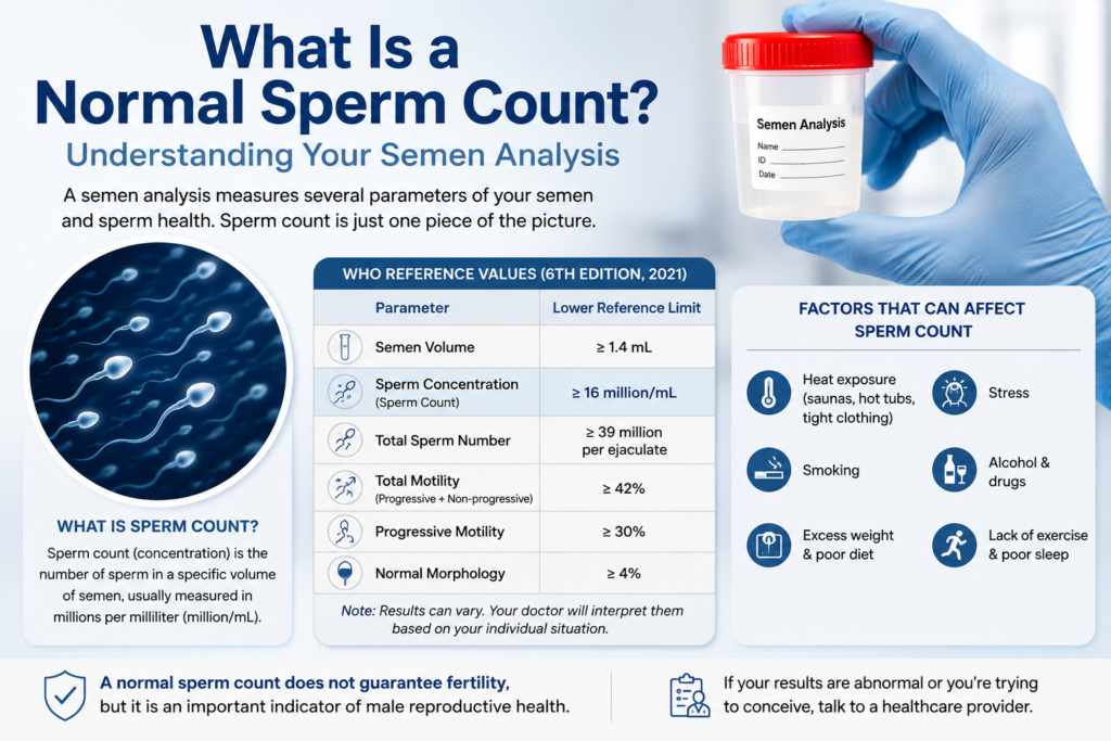 Normal Sperm Count
